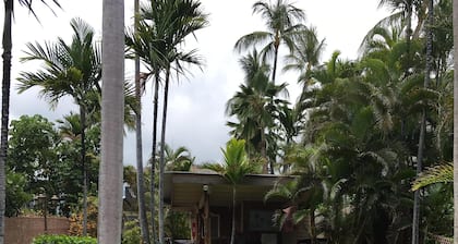 A/C and Ocean front pool, 1bedroom Condo on Ali’i drive in the heart of Kona ❤️