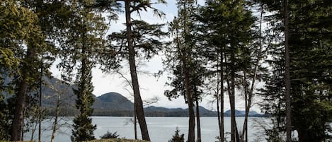 Vista serena de um lago, com árvores altas e uma cadeia montanhosa ao longe.