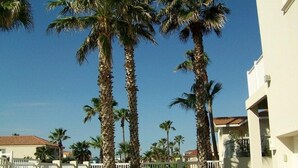 A residential area with tall palm trees, white fences, and a building with a red roof.