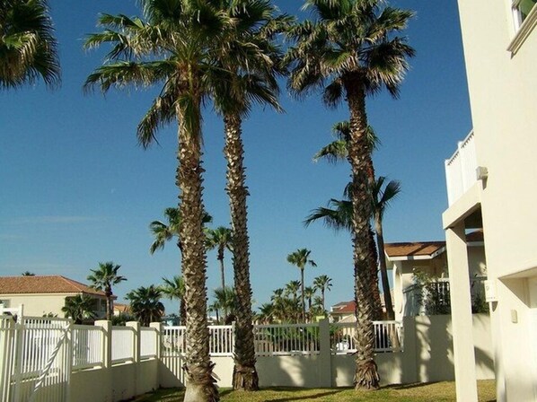 A residential area with tall palm trees, white fences, and a building with a red roof.