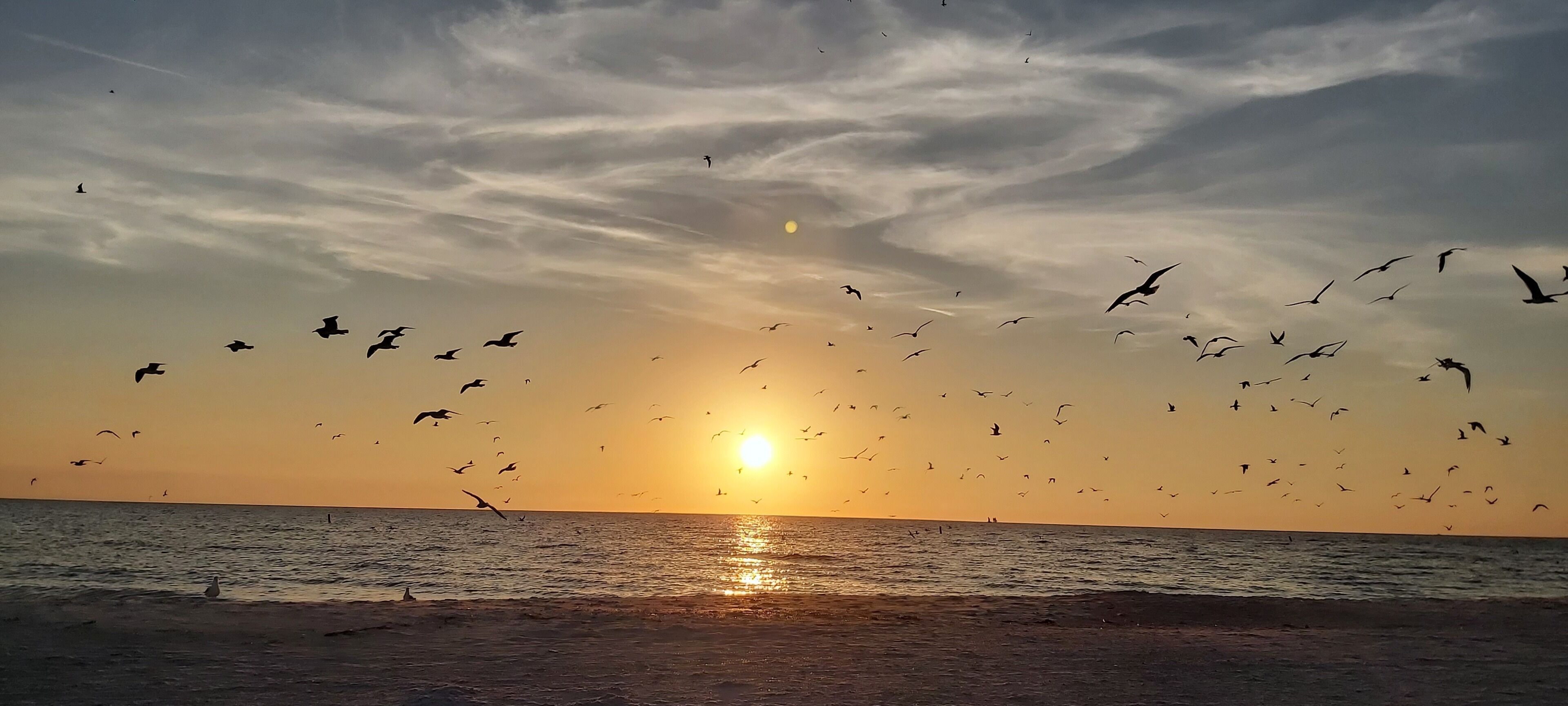 Ein Sonnenuntergang über einem Strand, am Himmel ziehen Vögel vorbei.