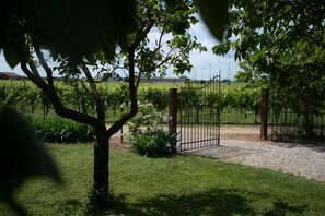 Property grounds - Vacation home La Vigna with Pool (San Toma')