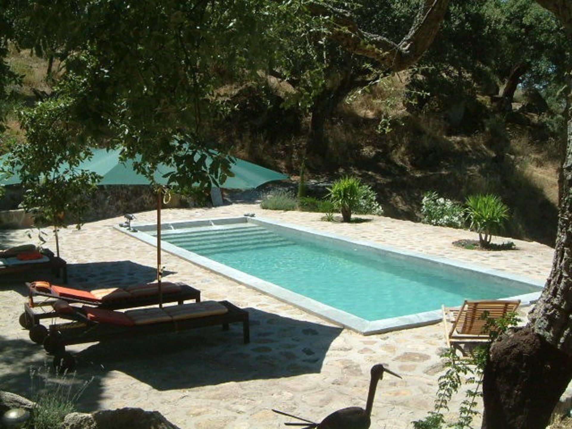 A rectangular swimming pool with a stone deck, surrounded by lounge chairs and a shaded area.