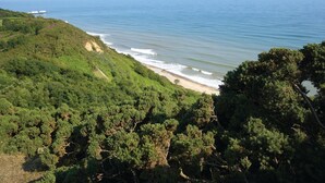 Paisagem costeira com vegetação densa e uma praia.