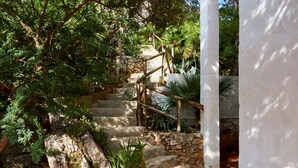 A stone staircase with a wooden handrail, surrounded by lush greenery and a white wall.