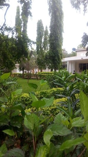 Vue depuis l’hébergement