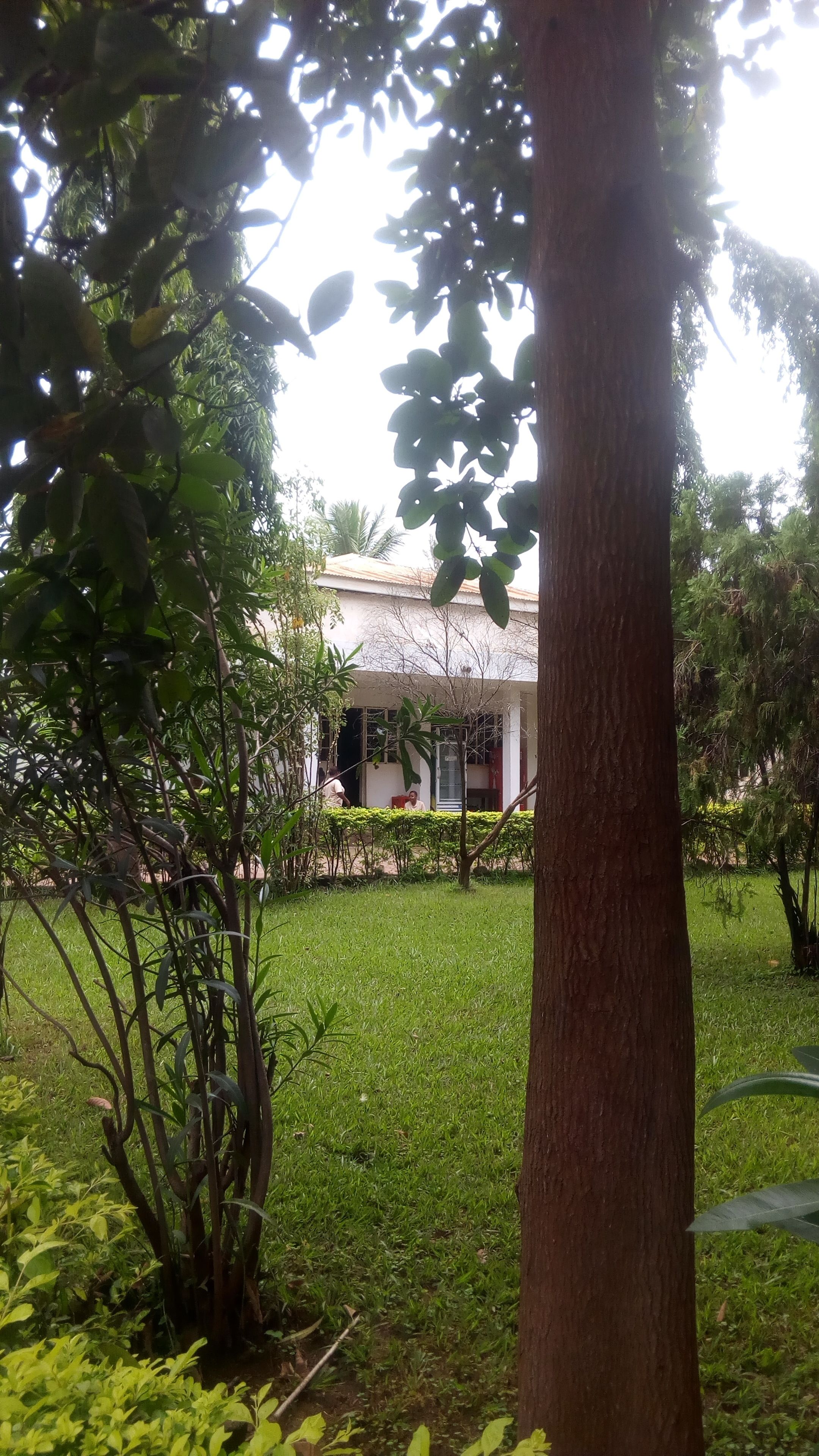 A house with a garden, surrounded by trees and greenery.