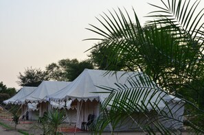Exterior - Royal Rajputana Camp (Pushkar)