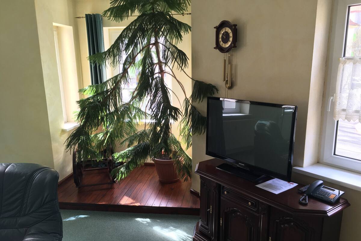 A living room with a large potted tree, a flat-screen TV on a wooden cabinet, and a wall-mounted clock.