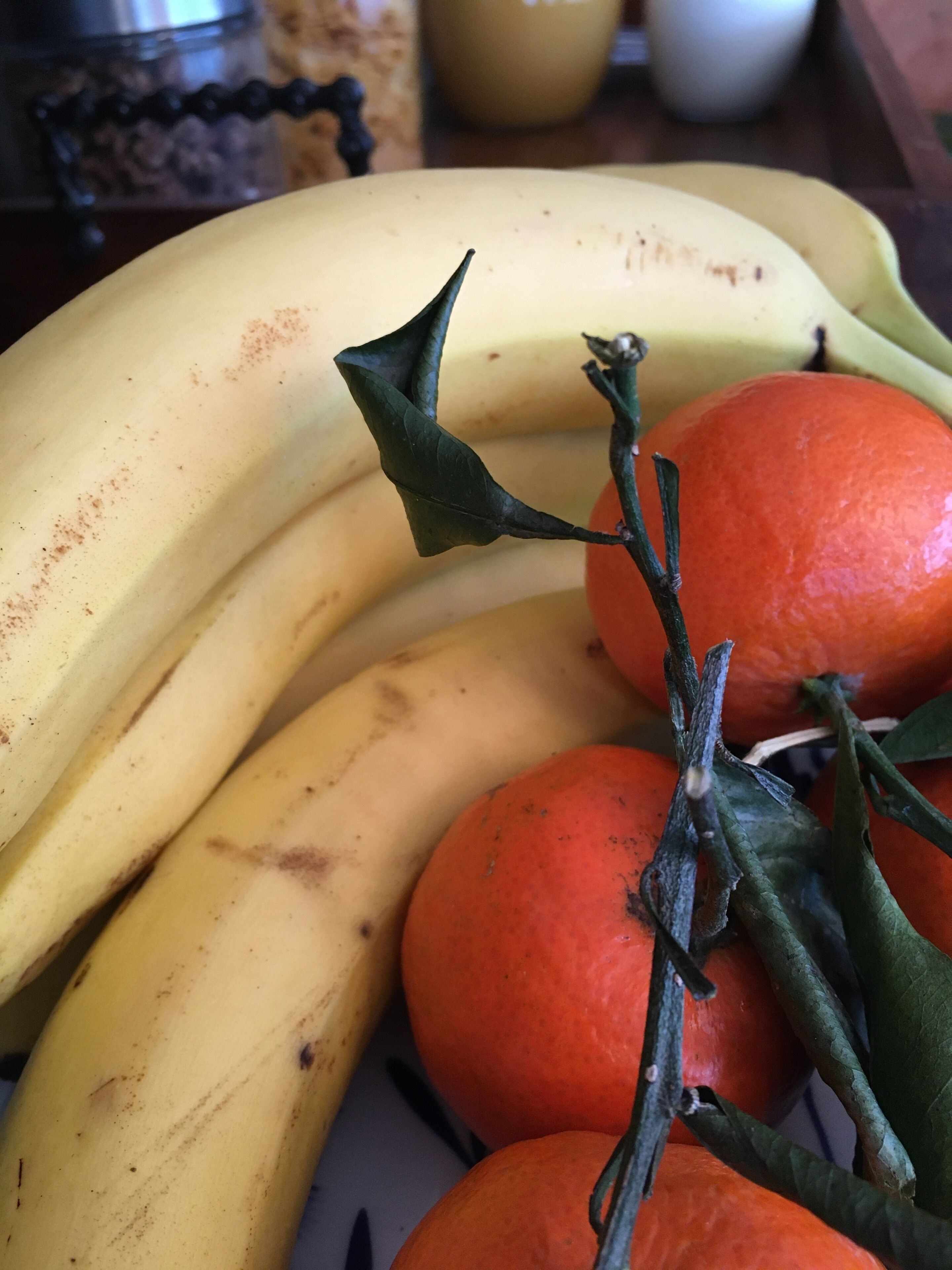 En tallrik med bananer och apelsiner.