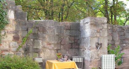 Huoneisto Tillyschanzenblick - Huoneisto Altstadtoase & Apartment Tillyschanzenblick