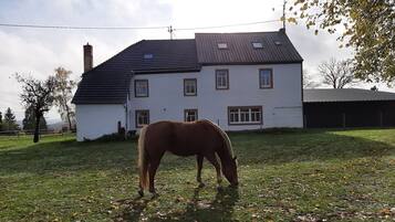 Terrein van de accommodatie