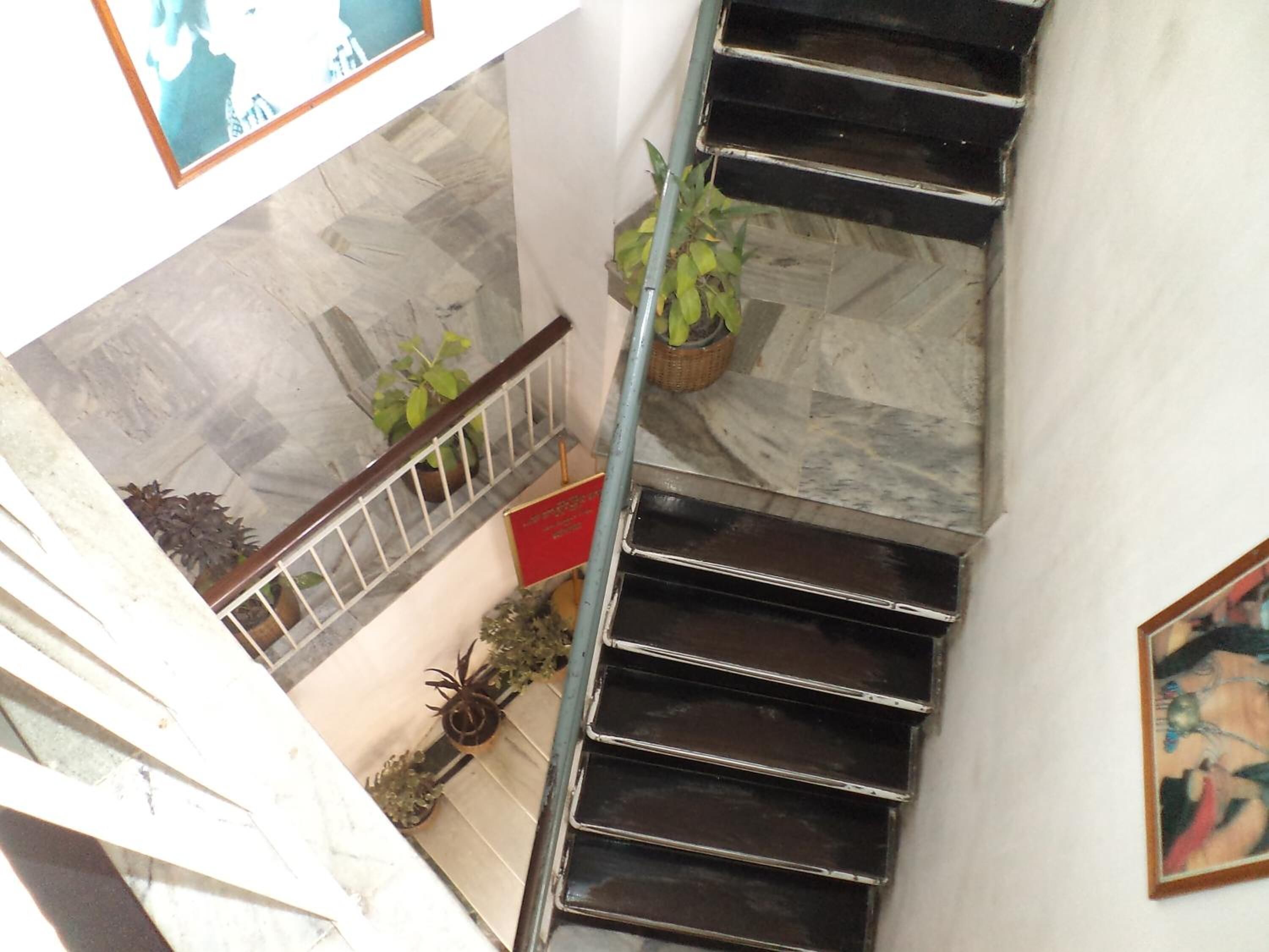 Un escalier avec une rampe en métal, des plantes en pot et un sol carrelé.