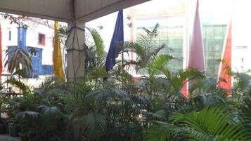 Double or Twin Room | Terrace/patio