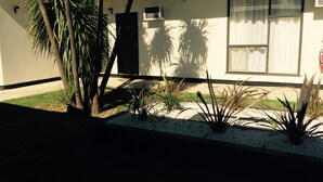 A modern house with a white exterior, a black door, and a window with curtains. There are palm trees and agave plants in the front yard. - Town House Motor Inn (Young)