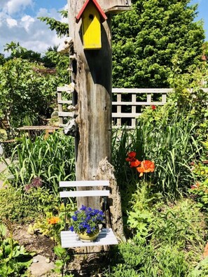 Imagen sin descripción, 5 de 19, botón