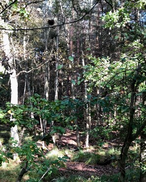 Imagen sin descripción, 4 de 19, botón