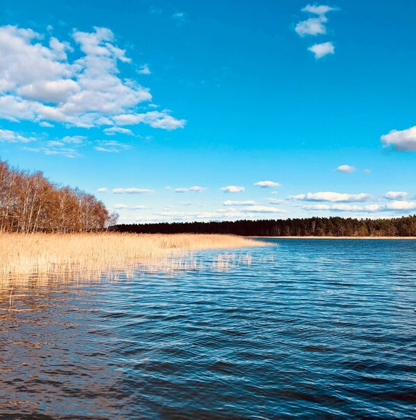 Imagen sin descripción, 1 de 19, botón