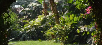 Colonial Residence