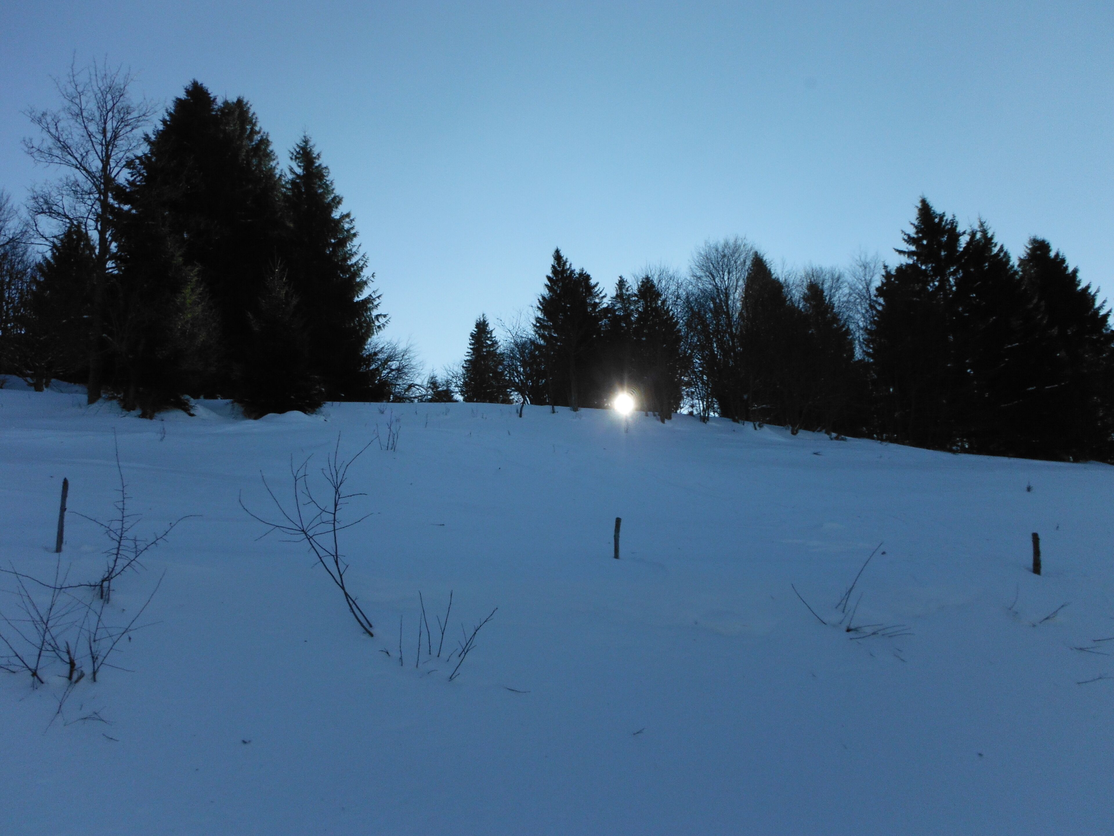 Schneebedeckte Landschaft mit einem Zaun und Bäumen.