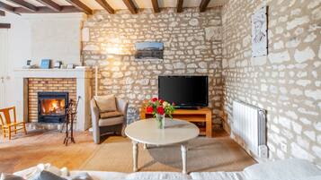 Una sala de estar acogedora con una pared de piedra, chimenea, televisor y una zona de estar confortable.