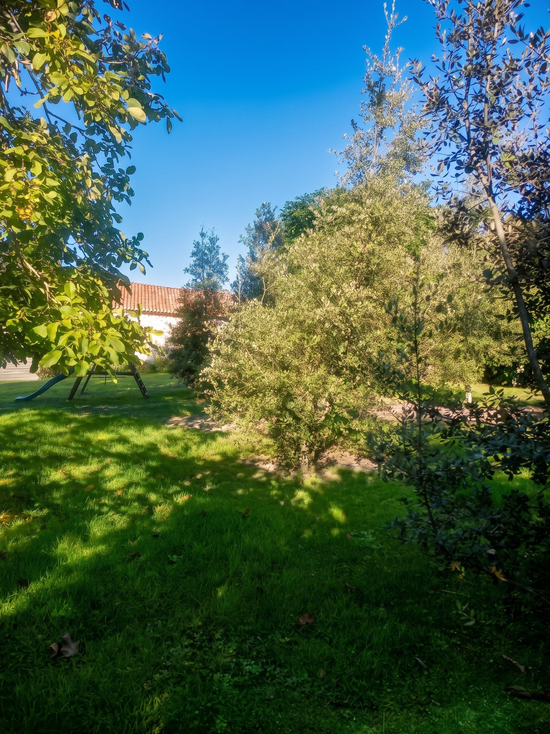 A lush green garden with various trees and a clear blue sky.