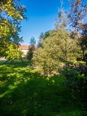 Ein üppiger, grüner Garten mit verschiedenen Bäumen und blauem Himmel.