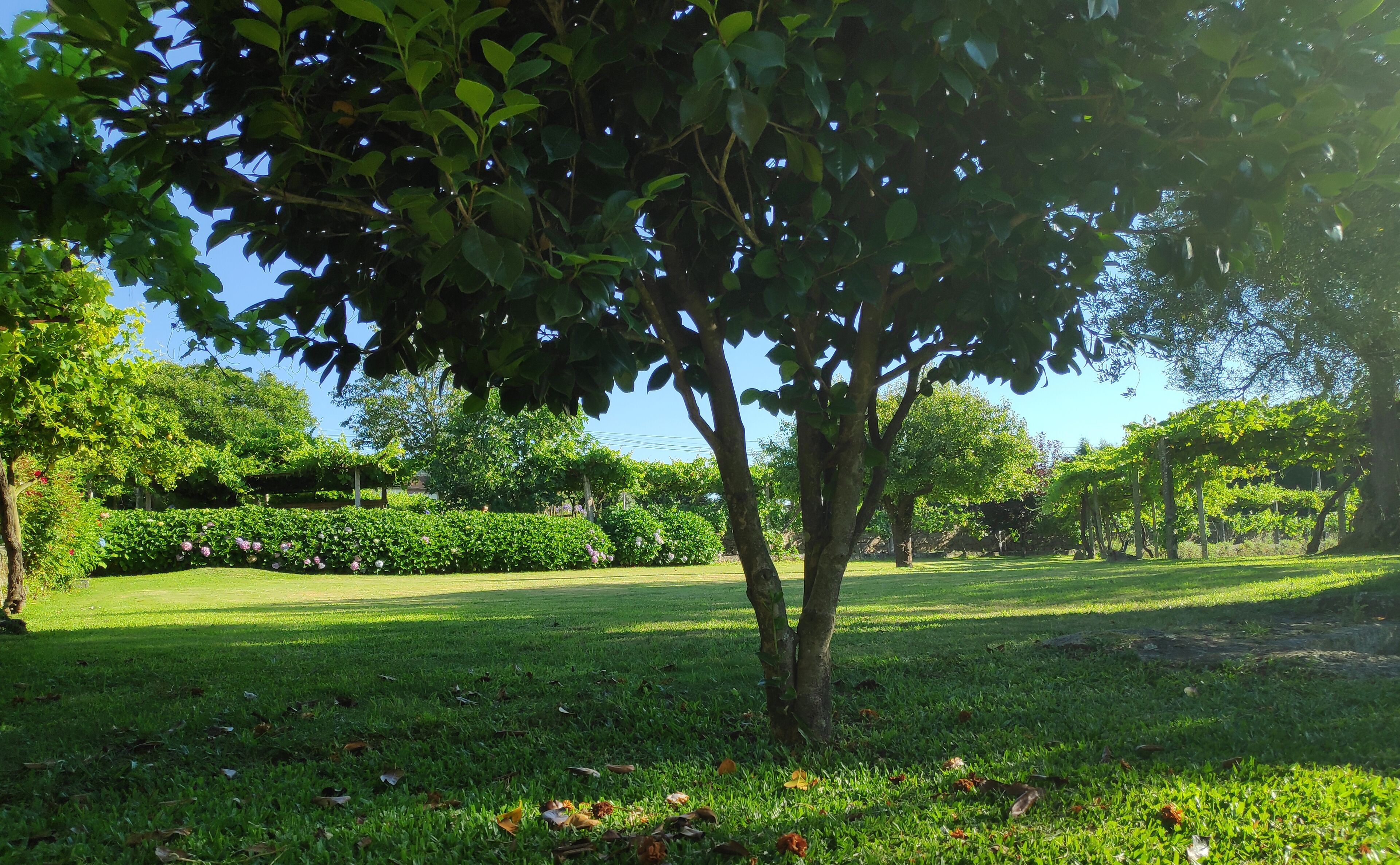 Photo - Casas da Quinta da Cancela