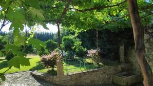 Um jardim com muro de pedra, cerca de metal e pérgula com plantas trepadeiras.