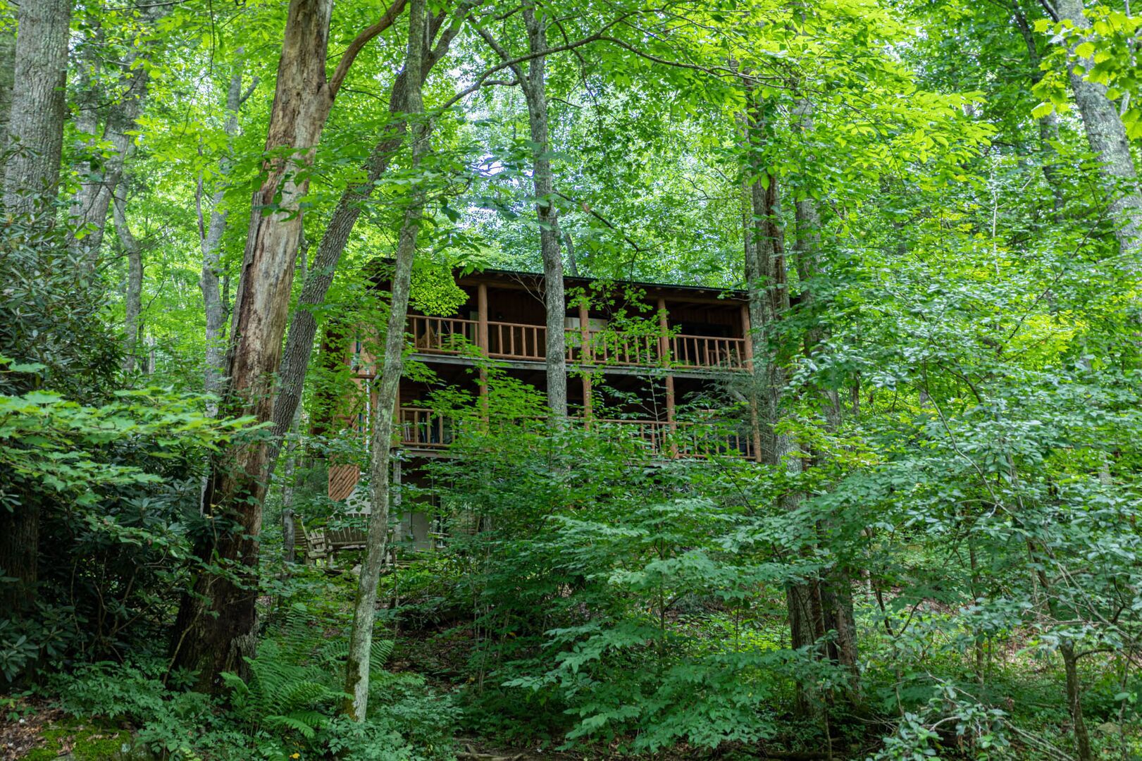 A wooden cabin with multiple levels, surrounded by dense forest.