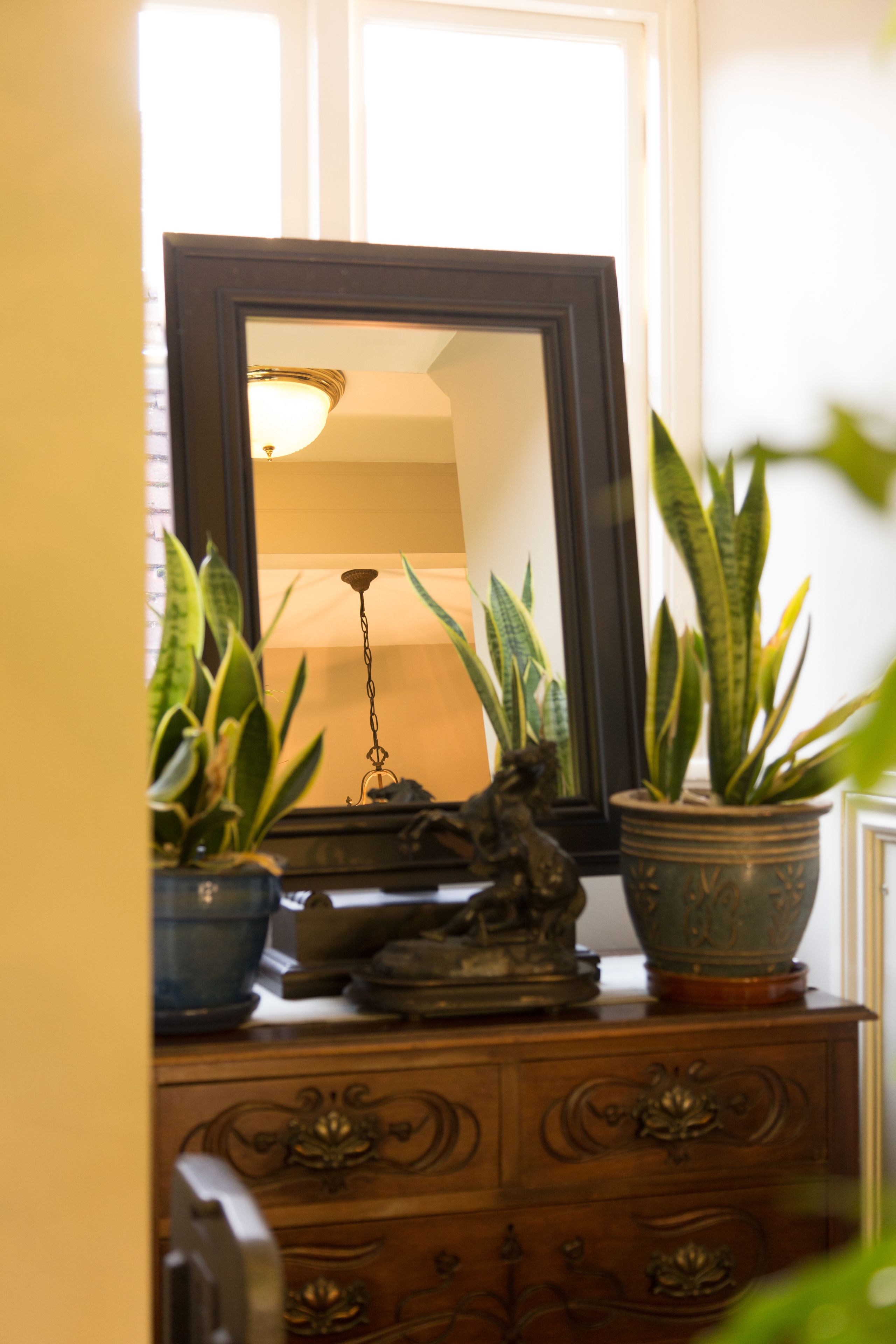 A wooden dresser with a mirror, a lamp, and two potted plants.