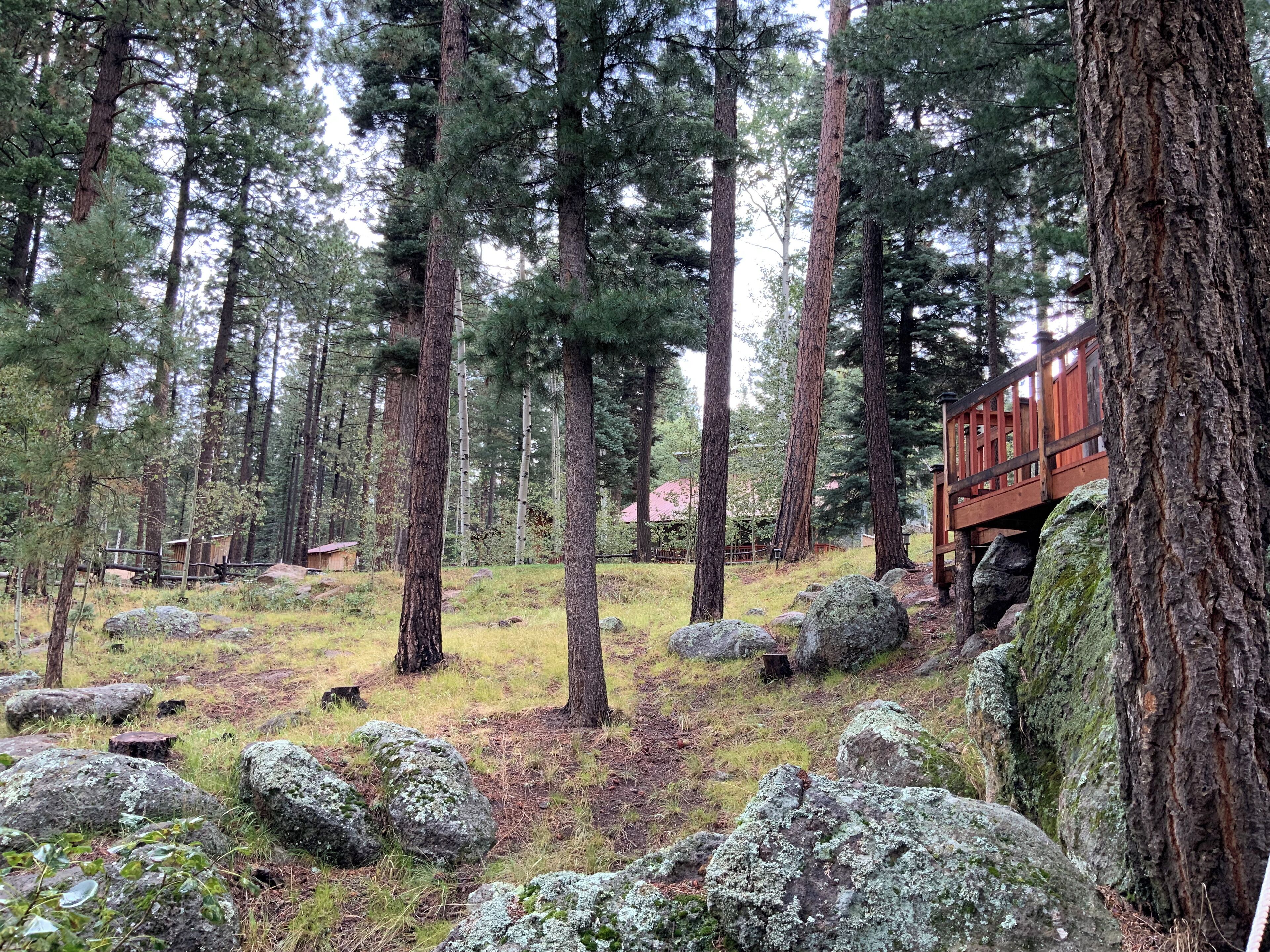 Parco della struttura