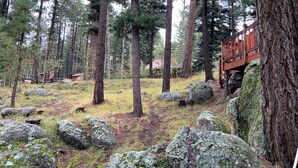 Ein bewaldetes Gebiet mit einer Holzbrücke und großen Felsen.