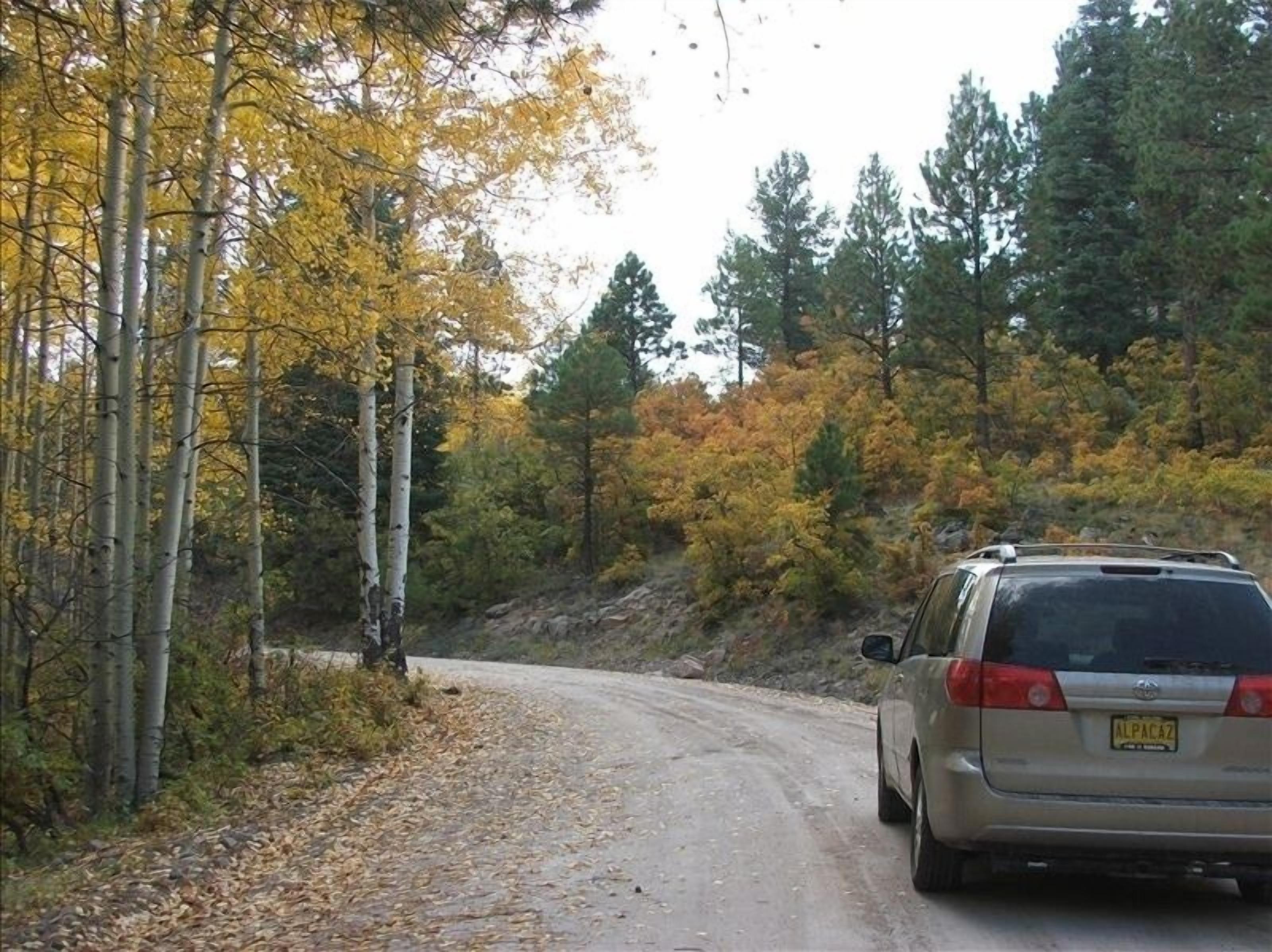 A car parked on a dirt road surrounded by trees with autumn foliage.