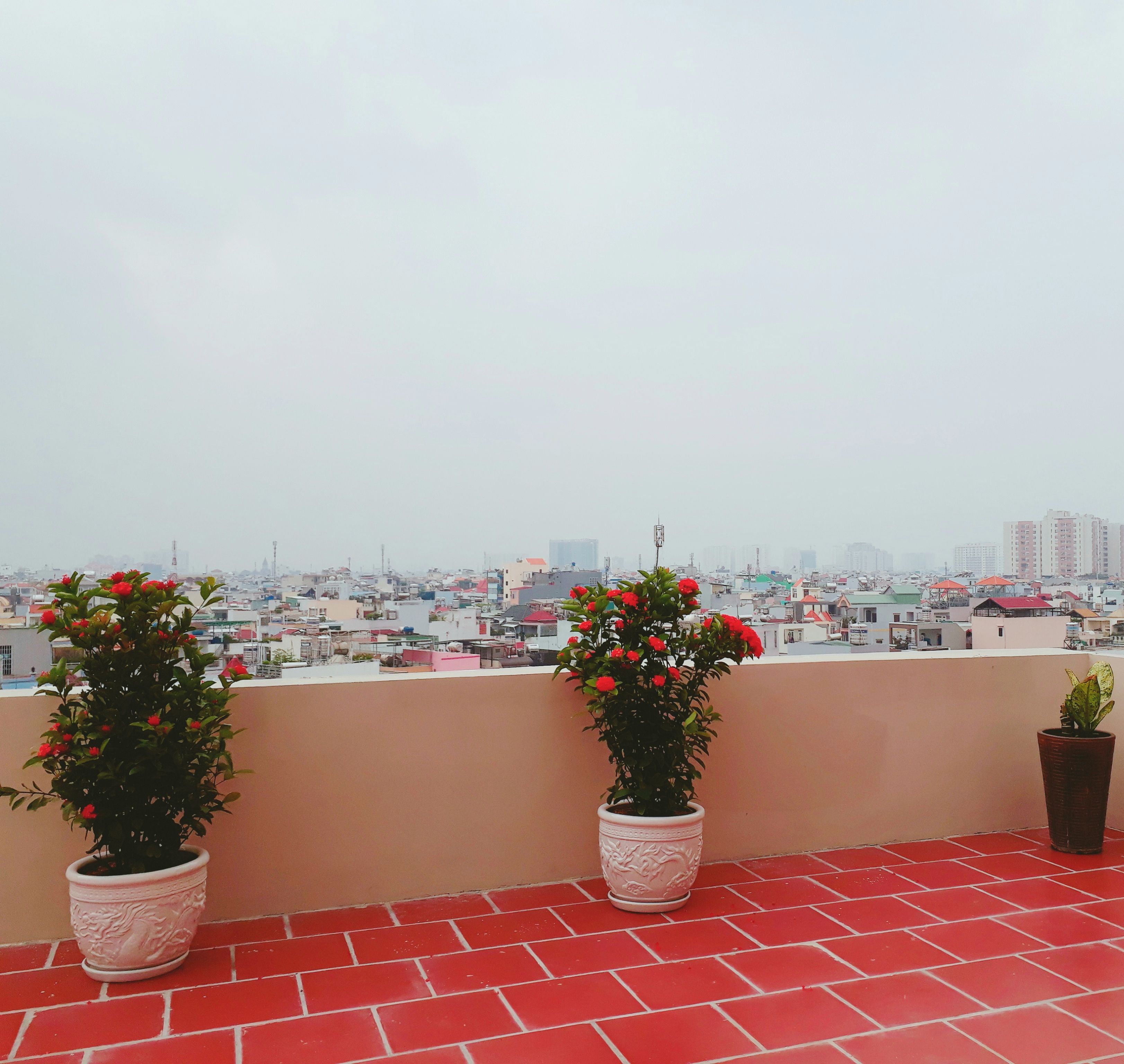 Vistas desde el alojamiento