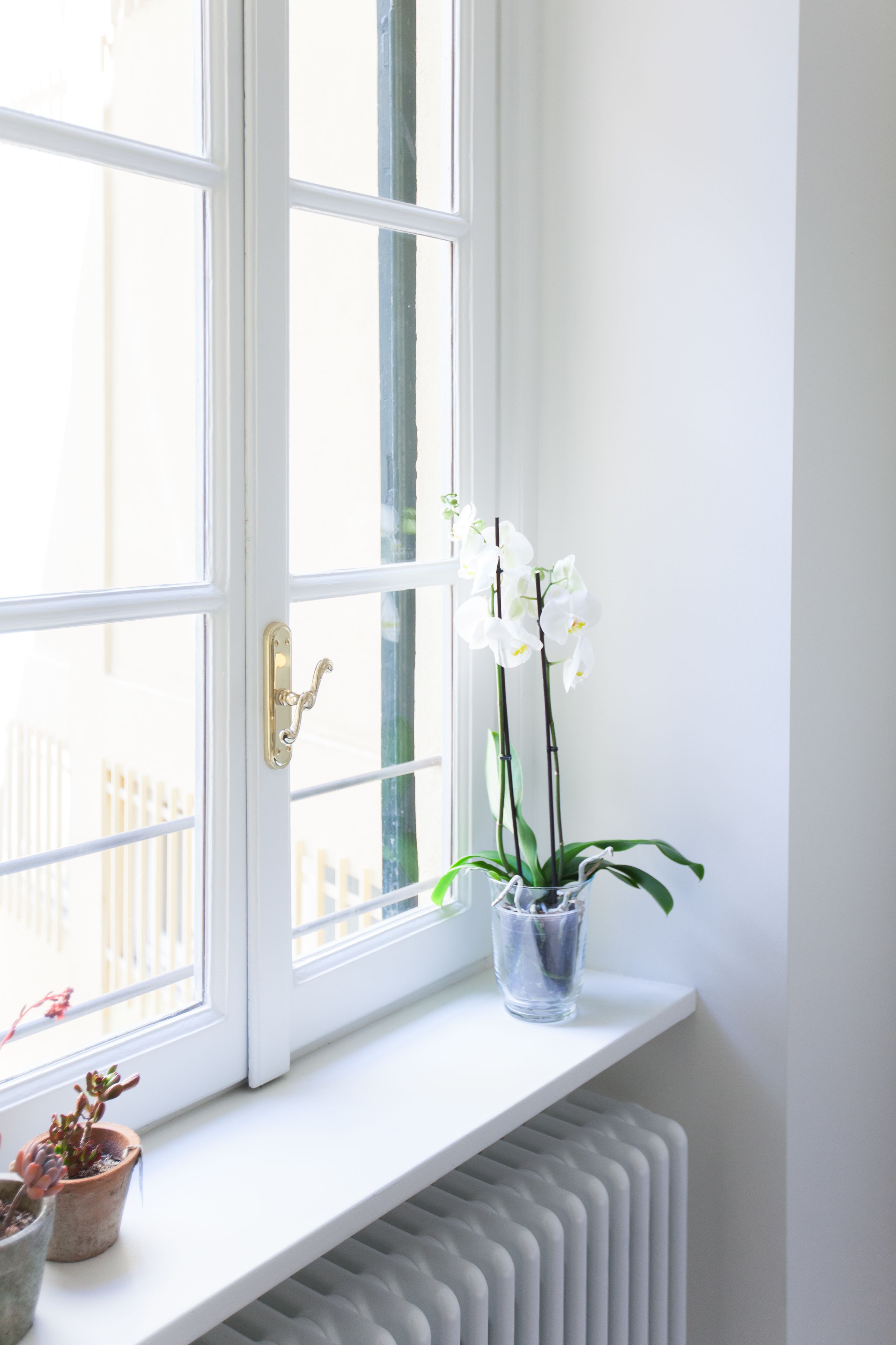 Sábanas de algodón egipcio, ropa de cama de alta calidad y cubrecamas 