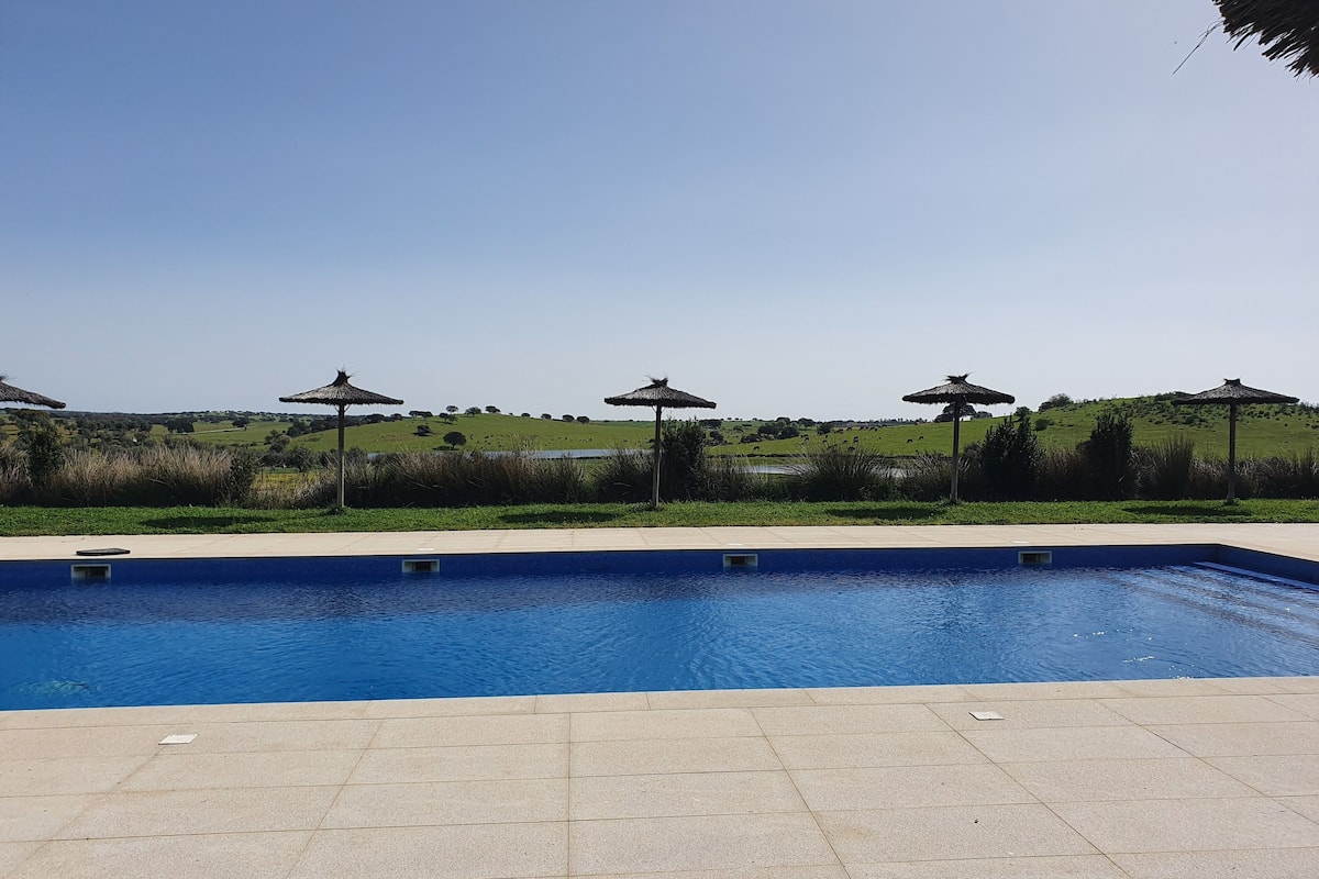 seasonal outdoor pool, pool umbrellas