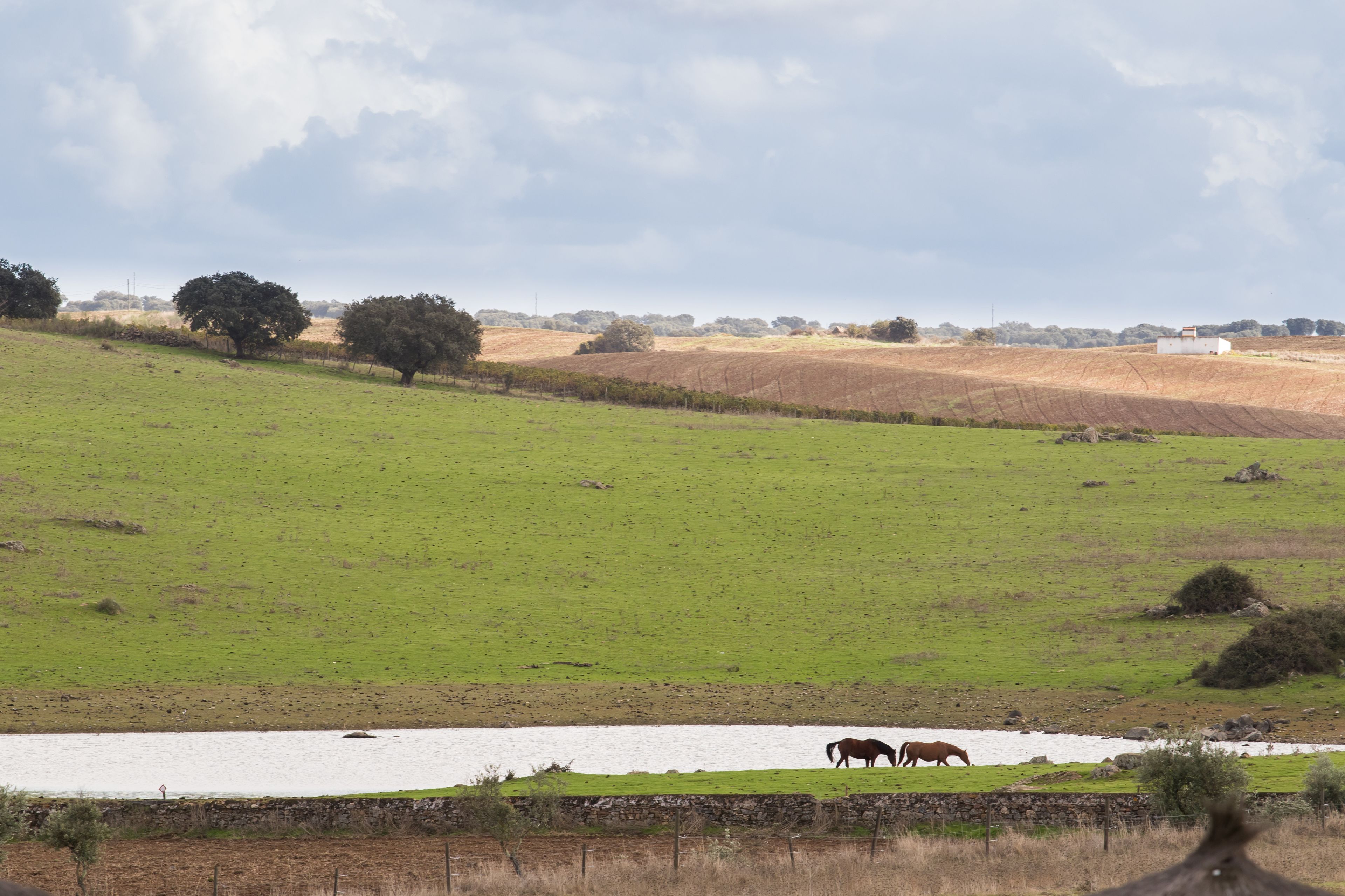 land view from property