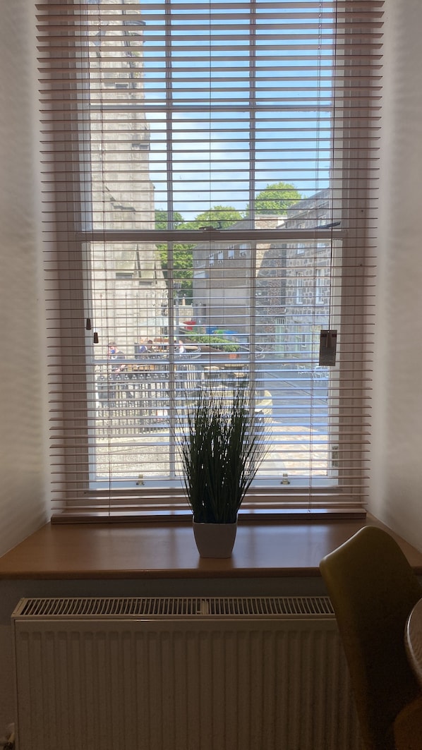 A window with horizontal blinds, a potted plant, and a radiator below.