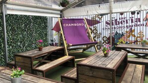Et drivhus med træbænke og en lilla stol med teksten "CHAMBORD".