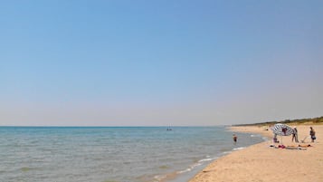 Nära stranden