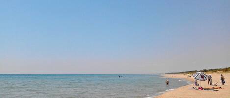 Una spiaggia nelle vicinanze