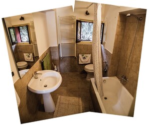 Combined shower/tub, hair dryer, bidet, towels
