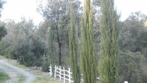 A rural path with a white fence and tall trees. - Villetta dei lecci - Charming detached cottage (Monteverdi Marittimo)