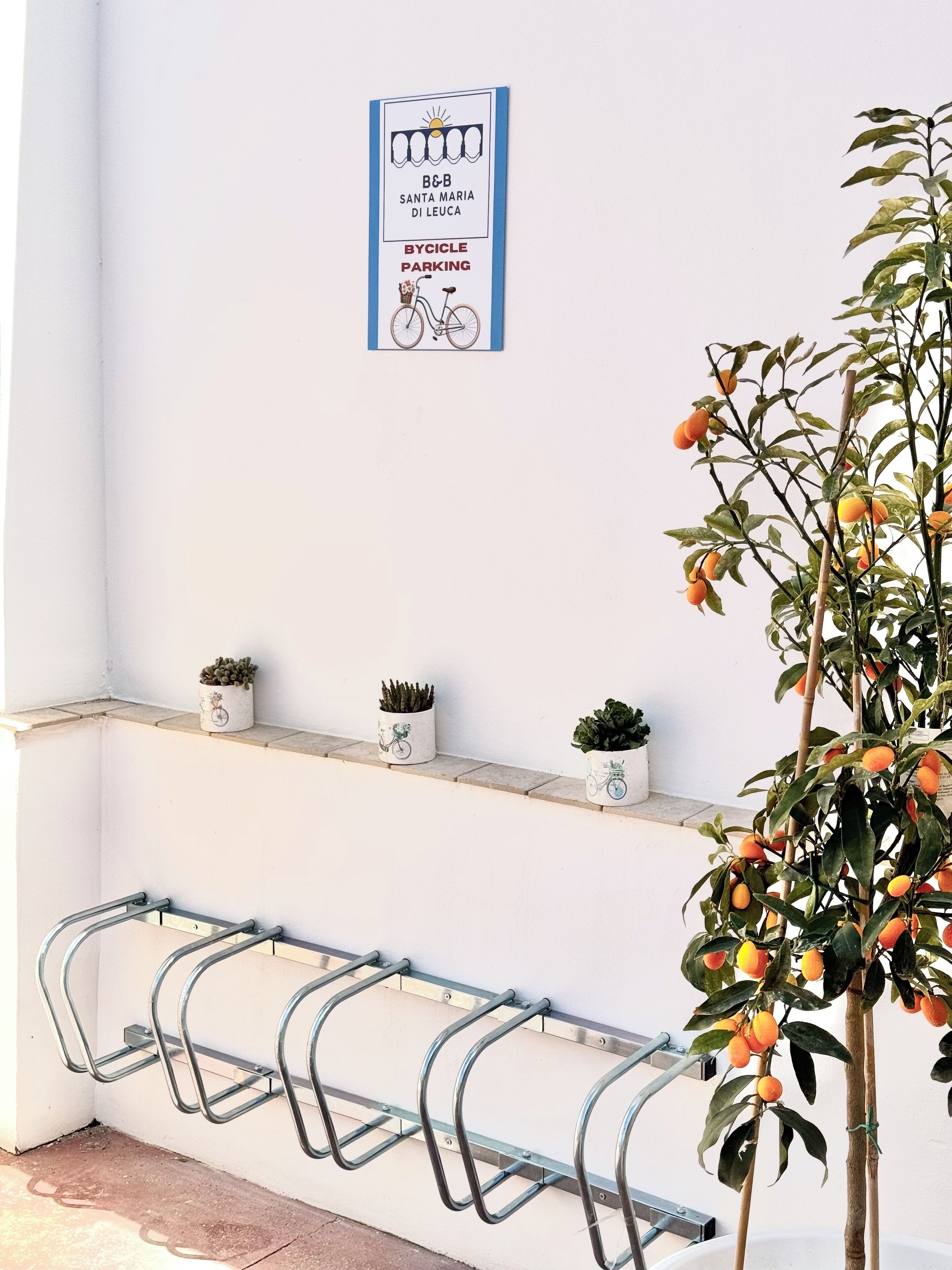 Una pared con un cartel que indica B&B Santa Maria di Leuca, un cartel de aparcamiento para bicicletas y una planta con frutos naranjas.