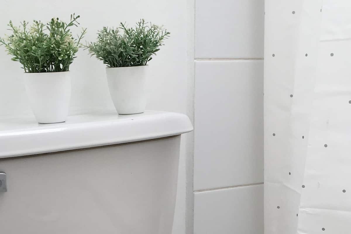 Eenpersoonskamer, 1 eenpersoonsbed | Badkamer | Een douche, gratis toiletartikelen, handdoeken