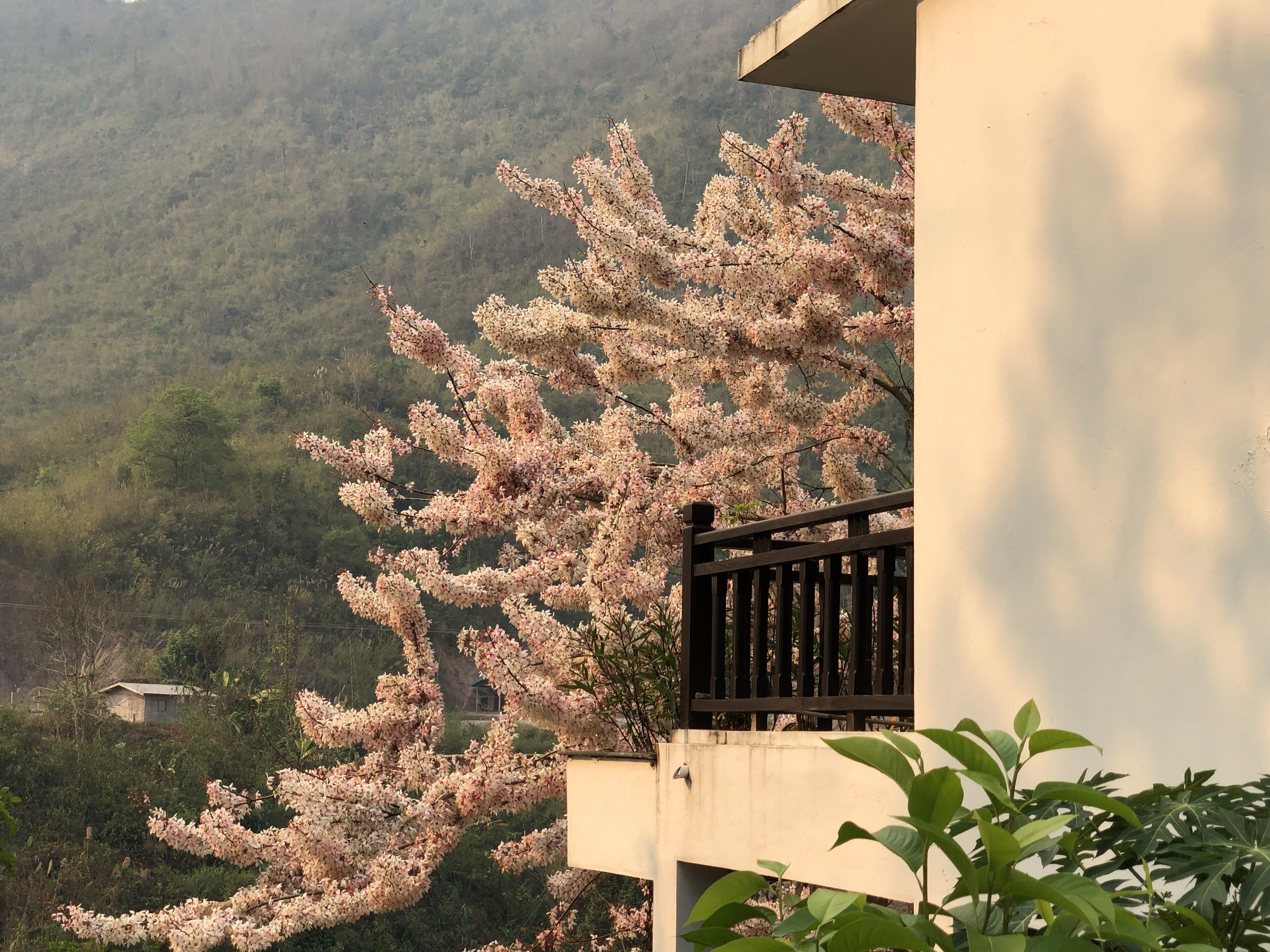 villa, mountain view | 1 bedroom, pillow-top beds, minibar, individually decorated