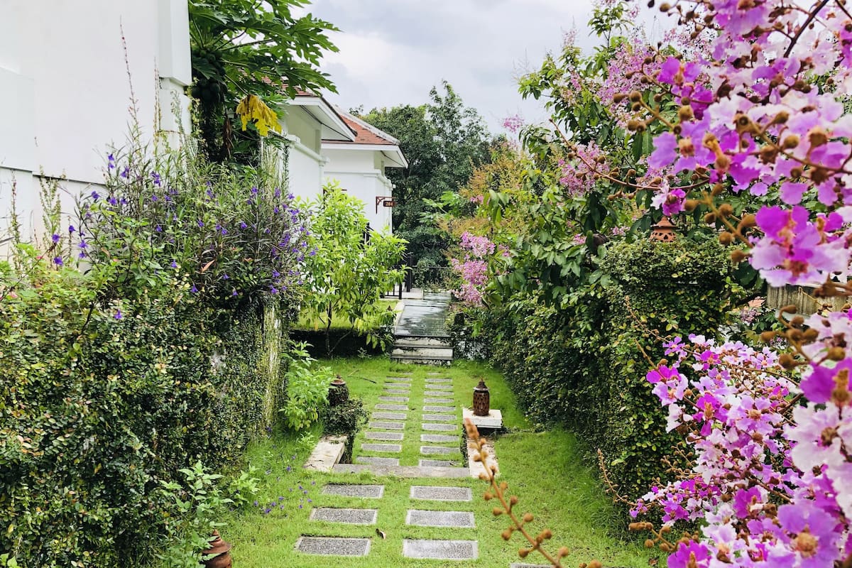Garden view