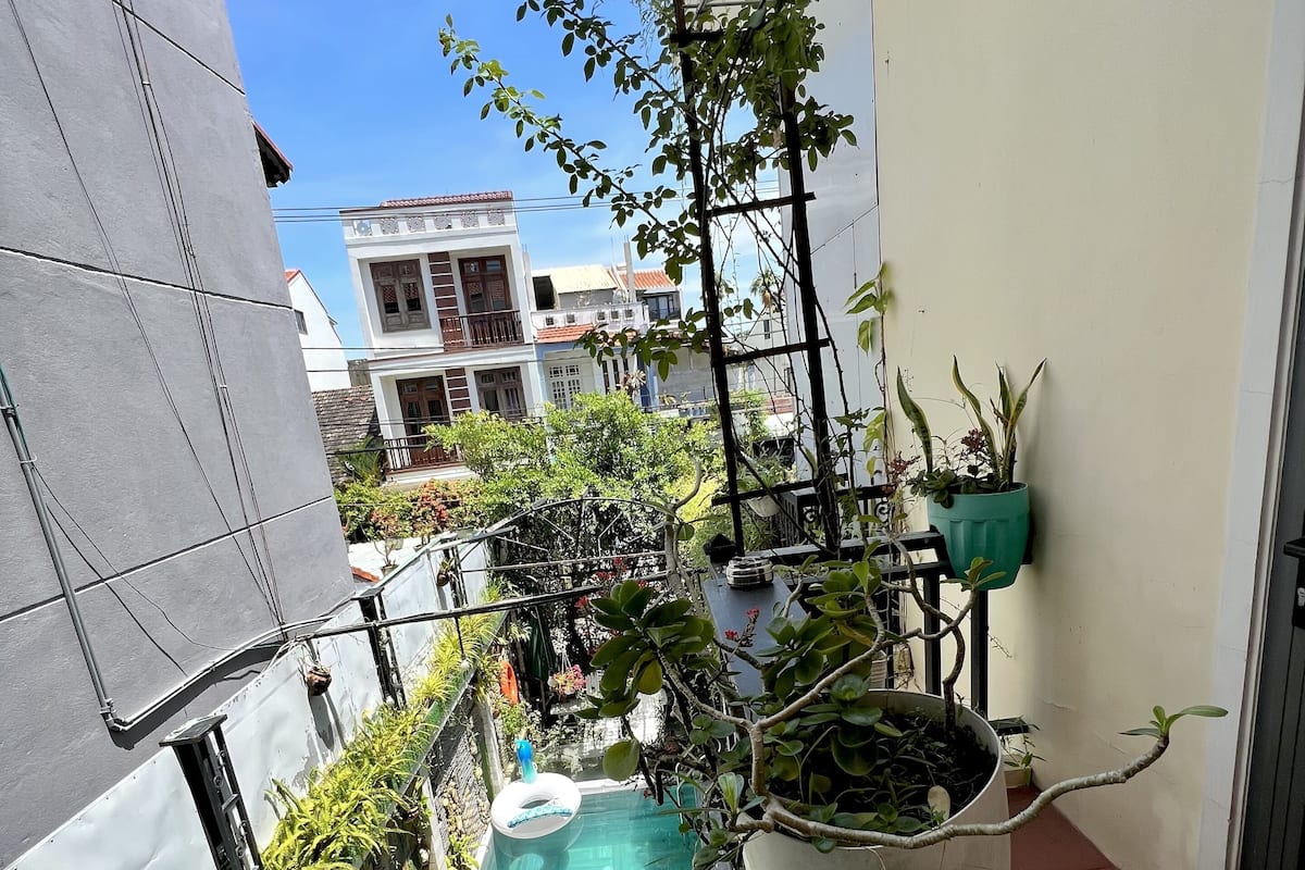 A narrow outdoor space with a small pool, potted plants, and a view of neighboring buildings.