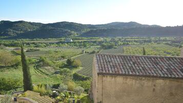 Eine Weinlandschaft mit terrassenförmigen Feldern und einem Gebäude mit Ziegeldach.